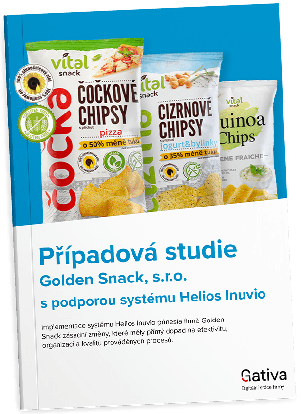 Případová studie Golden Snack.